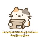 고향맛김치 이미지