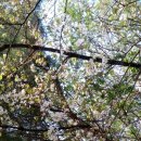 당하1호공원 이미지