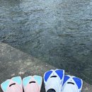 2박3일 영덕여행기! 욱이네펜션, 축산항어시장, 실비식당, 차유어촌체험마을 🦀🐟