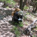 숙원농장 이미지