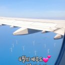 보리, 愛 네이버블로그