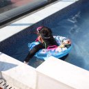 초이스펜션 이미지