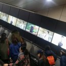 비상유도클럽 이미지