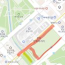 분당구청 앞 문화의 거리 | [실시간] 분당 벚꽃 개화 상황! 분당구청 문화의 거리 벚꽃·목련 만개 (feat. 분당천 개나리)