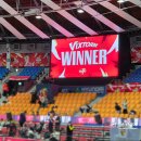 장안체육관 | 남자배구 직관 후기_ 한국전력 vs OK저축은행(feat.수원실내체육관 응원존 C3)