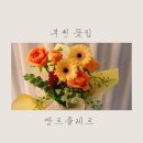 땅트플레르
