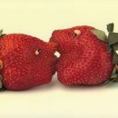 즐거운야채 과일 이미지