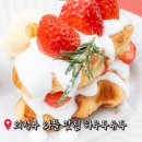 자금동주민센터 | 의정부 와플 맛집 애견동반 카페 하우두유두 애견카페 잔디에서 강아지와 함께!