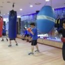 와일드복싱짐 본관 이미지