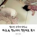 묘기어때 | 강아지매트 고민 끝 펫노리터 펫롤매트 아기있는집 전원주택 셀프 시공 후기