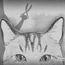 [뉴스1] 해외선 '동물학대' 상습범 신상공개…한국선 10년간 실형 10명뿐 이미지