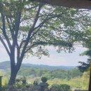 좋은밥집 이미지