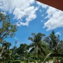 멍멍분식 이미지