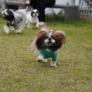 이쁘개즐겁개 이미지