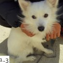 01-23 동구 이미지