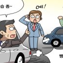 솔로몬자동차 이미지