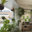 파이인더샵 용산점 이미지