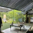 풍전가든 | 춘천계곡식당 백숙, 감자전 맛집 l 풍전가든에서 마지막 여름피서