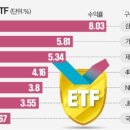 안타코리아 이미지