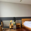 5살 아이와 파주 여행 두번째 (복많네해물칼국수, 버터킹빵공장, 임진각 평화누리공원, 누리성 모험...
