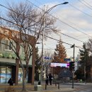 배양 | 농업교육 전문기업 그린에이션과 함께하는 전주생명과학고 조직배양 강의후기