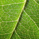 그린모터서비스 이미지