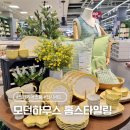 모던하우스 인테리어 소품 투어 접시 세트와 홈스타일링 구경하기