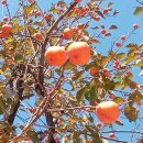 주촌센텀한의원 이미지