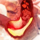 신선헬스 이미지