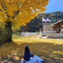 은행보건진료소 이미지