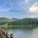 백운호수로 1길 이미지