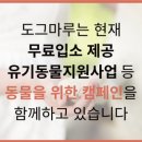 도그마루 노원점 이미지