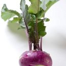 콜라비 (Kohlrabi) 이미지