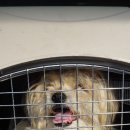 옥포대첩로 이미지