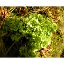 부자농원 이미지