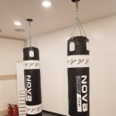 정권멀티짐 이미지