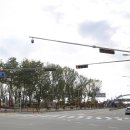 증평군립도서관 앞 이미지