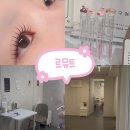 범계맞이STORYWAY 편의점1 | [안양/범계] 안양 범계속눈썹펌 맛집 르뮤트에서 앰플클리닉 펌 후기