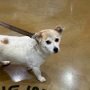 서남교회앞 이미지