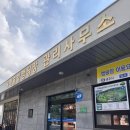 미국식 카라반 APEX208과 함께하는 충주 목계솔밭캠핑장 방문기!!