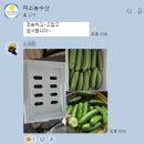 싱싱스낵