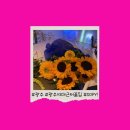 광산구-113 이미지