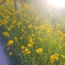 덕포체육공원 이미지