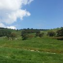 광경목장 이미지