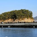 가조도 스케치북펜션 이미지