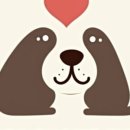 동양애견 강아지분양 고양이분양 이미지