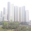 위례금빛공인중개사사무소 이미지