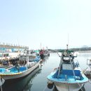 더향펜션A민박 | 송지호 해수욕장 숙소 추천 동우네민박펜션 깔끔한 후기