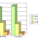 11월 캠코더 인기순위 - 캠코더의 트렌드 소니 HDR-CX12 이미지