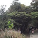 서울대학교 농업생명과학대학 이미지